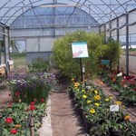 -floricultura-.