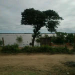 Creciente5