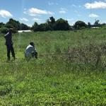8-2-2021_tierras_fiscales_tatacua_icaa_(3)
