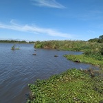 27-9-laguna_brava_y_ca%c3%b1ada_mandiyurati._linea_de_ribera_(1)