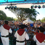 Dsc09884