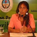 Violeta_vanderlan
