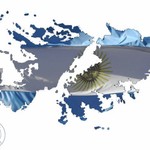 Malvinas