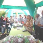 Dscn5242