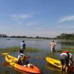 Pesca_palometa