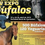 Expo-bufalos-2015_afiche
