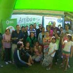 Alfareria