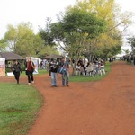 Feria_de_aves