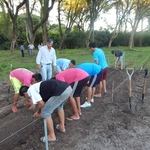 Huerta