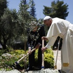 Papa_francisco