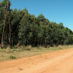 Esia_forestal