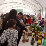 Feria-1_800x506