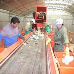 Planta-de-tratamiento-de-residuos-de-federal-c-foto-daniel-cristina