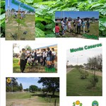 Dia_forestal_mundial
