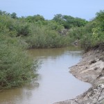 Arroyo_barranca