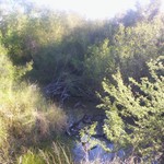 Arroyo_barranca3