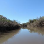 Arroyo_barrancas2