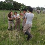 Img-20161019-wa0006_1_