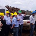 Funcionarios_en_brasil_5
