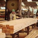 Industria_forestal