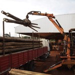 Corrientes-forestoindustria